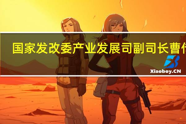 国家发改委产业发展司副司长曹传贞：加快钢铁行业兼并重组步伐