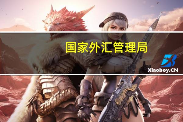 国家外汇管理局：预计今年我国经常账户仍将保持合理规模顺差