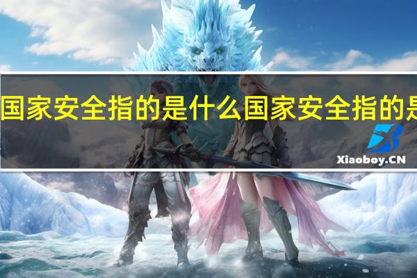 国家安全指的是什么 国家安全指的是什么