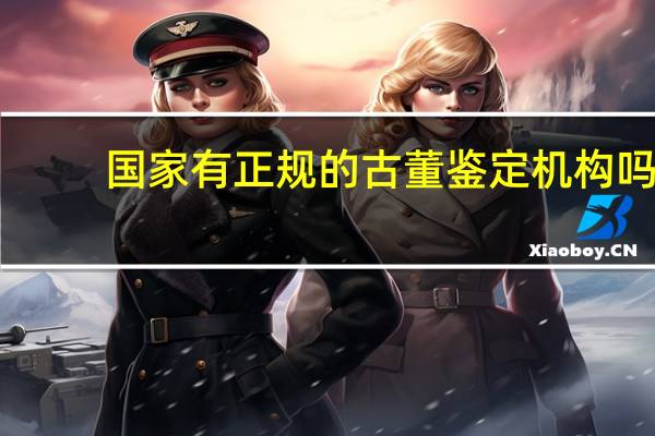 国家有正规的古董鉴定机构吗