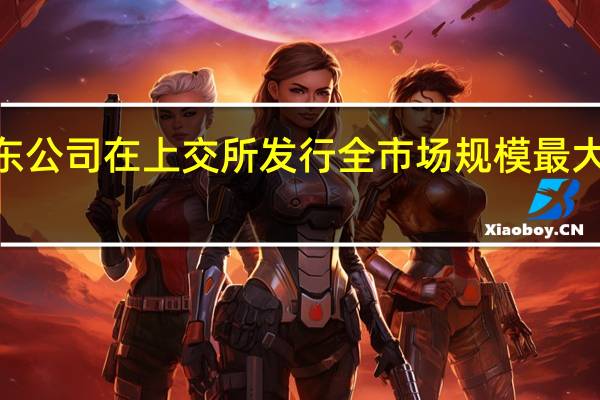 国家电投广东公司在上交所发行全市场规模最大类REITs 金额达81.01亿元