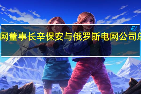 国家电网董事长辛保安与俄罗斯电网公司总裁柳明会谈