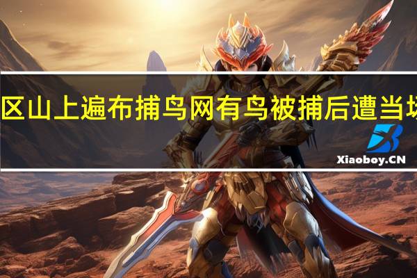 国家级自然保护区山上遍布捕鸟网有鸟被捕后遭当场肢解 到底什么情况呢