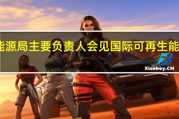 国家能源局主要负责人会见国际可再生能源署（IRENA）总干事