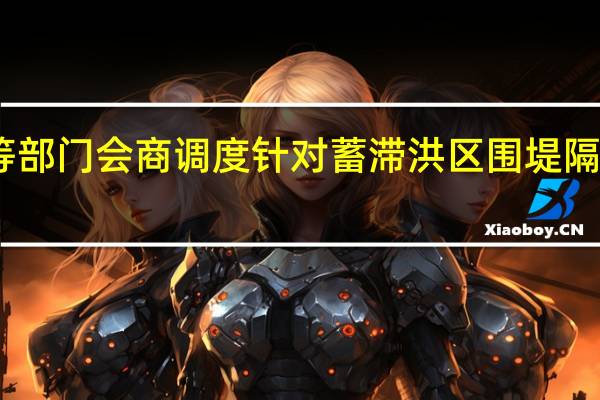 国家防总等部门会商调度针对蓄滞洪区围堤隔堤开展风险排查