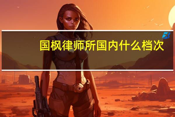 国枫律师所国内什么档次