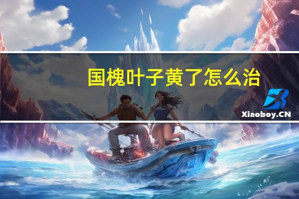 国槐叶子黄了怎么治