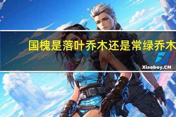 国槐是落叶乔木还是常绿乔木
