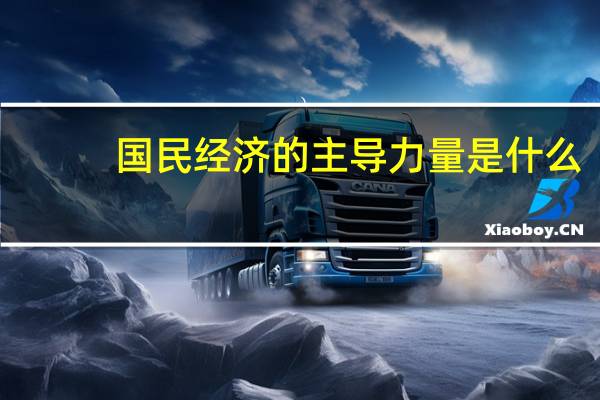 国民经济的主导力量是什么