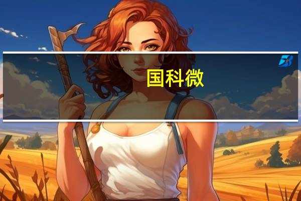 国科微：上半年净利润9054.33万元 同比增319.79%