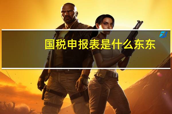 国税申报表是什么东东