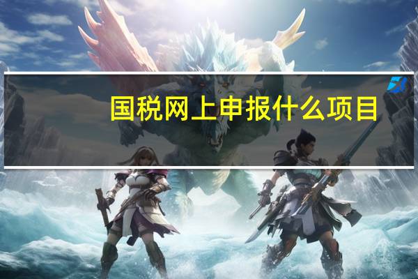 国税网上申报什么项目