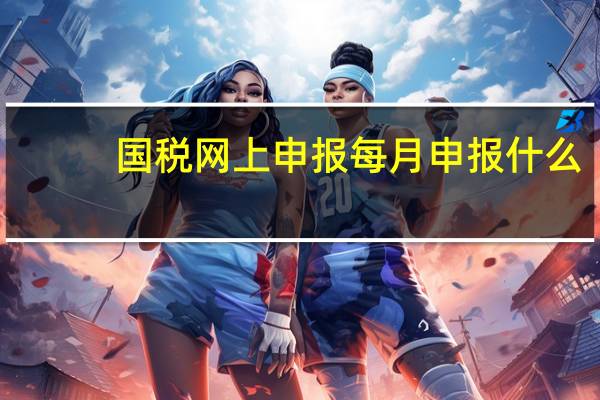 国税网上申报每月申报什么