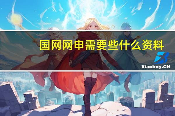 国网网申需要些什么资料