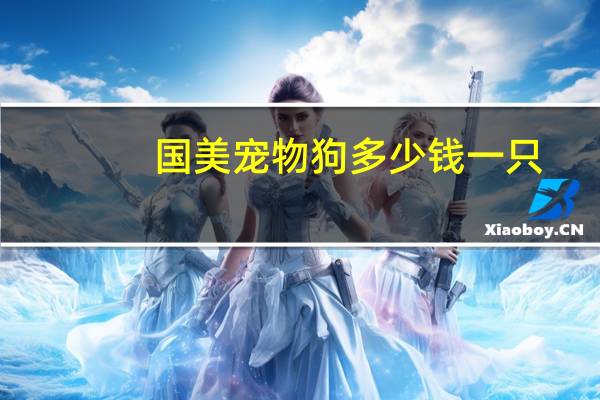 国美宠物狗多少钱一只