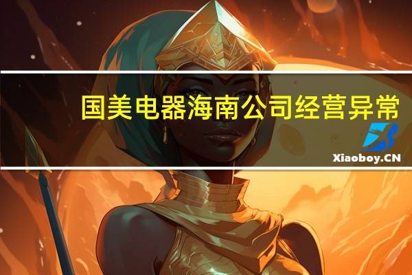 国美电器海南公司经营异常