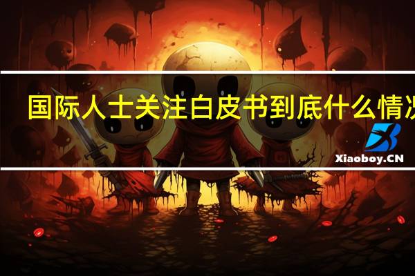国际人士关注白皮书 到底什么情况嘞