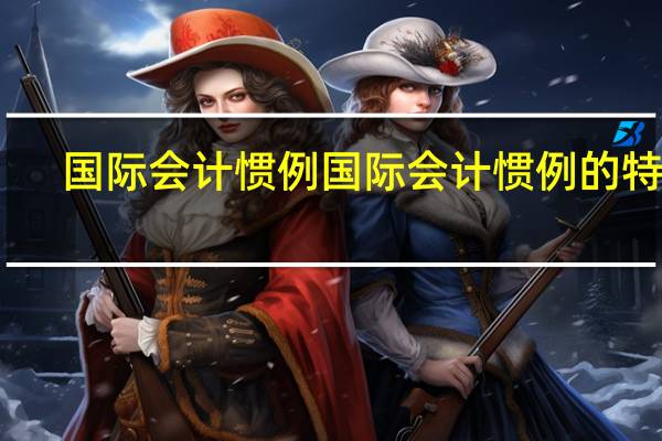国际会计惯例国际会计惯例的特征