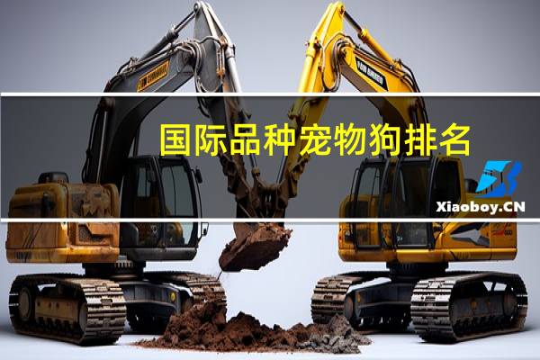 国际品种宠物狗排名