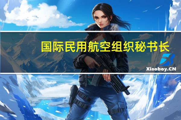 国际民用航空组织秘书长:2050年国际航空要实现净零排放