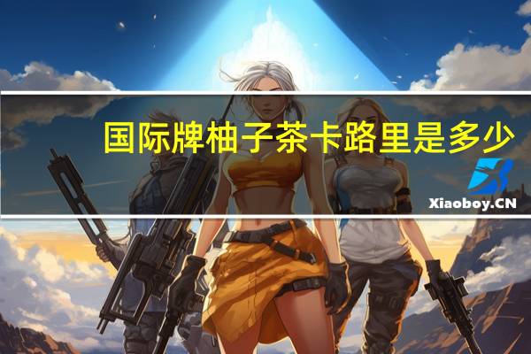 国际牌 柚子茶卡路里是多少