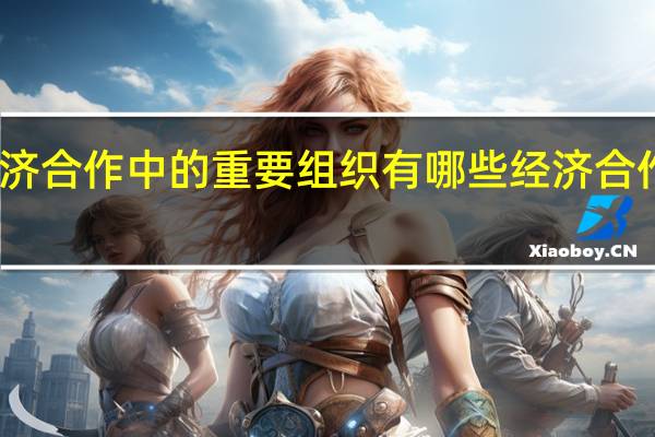 国际经济合作中的重要组织有哪些 经济合作与发展组织