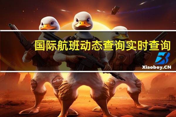 国际航班动态查询实时查询（国际航班动态查询实时）