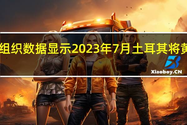 国际货币基金组织数据显示2023年7月土耳其将黄金持有量减少了10.9吨至658.925吨