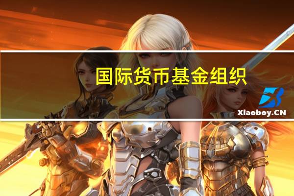 国际货币基金组织：如果欧洲央行在2024年第四季度保持当前利率水平2%的通胀目标可能会在2025年下半年实现