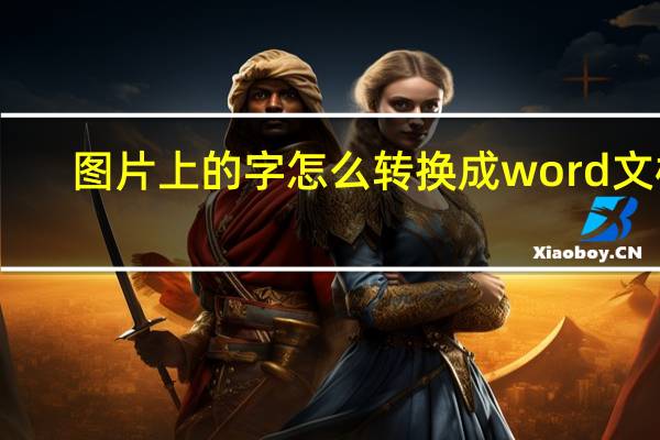 图片上的字怎么转换成word文档（图片上的字怎么转换成文字）