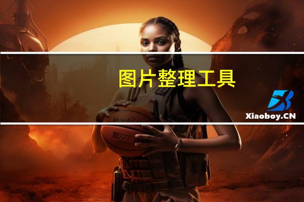 图片整理工具（图片整理）