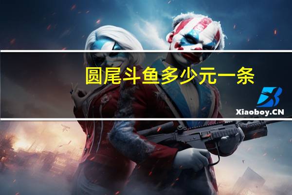 圆尾斗鱼多少元一条