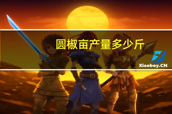圆椒亩产量多少斤