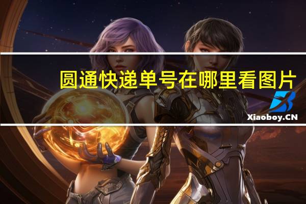 圆通快递单号在哪里看图片（圆通快递单号在哪里看）