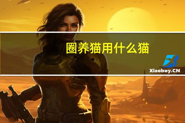 圈养猫用什么猫