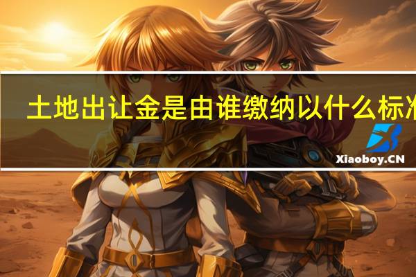 土地出让金是由谁缴纳以什么标准收（土地出让金是由谁缴纳）