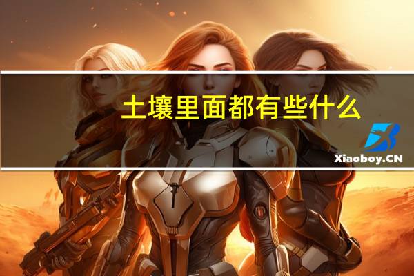 土壤里面都有些什么