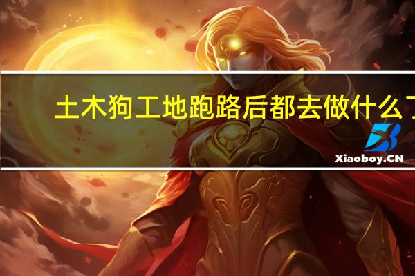 土木狗工地跑路后都去做什么了