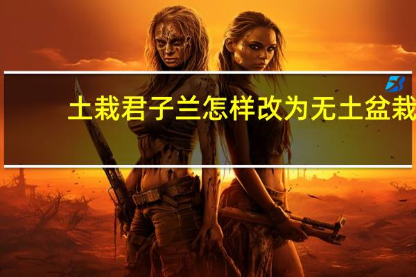 土栽君子兰怎样改为无土盆栽