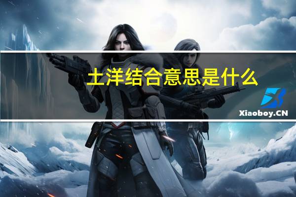 土洋结合意思是什么