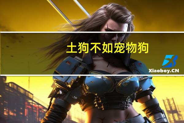 土狗不如宠物狗