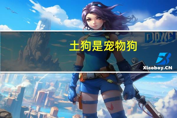 土狗是宠物狗