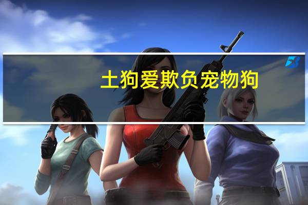 土狗爱欺负宠物狗