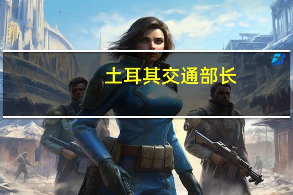 土耳其交通部长：阿联酋可能会投资土耳其的港口和公路