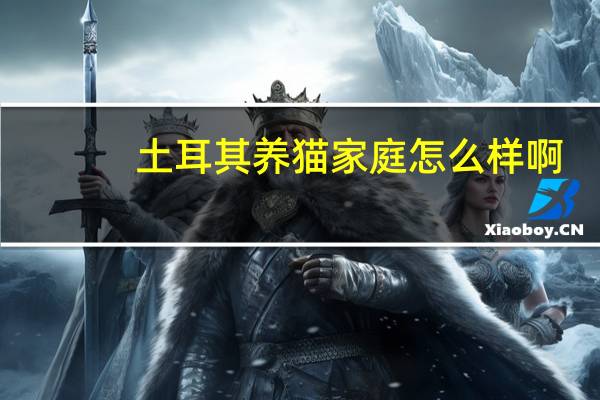土耳其养猫家庭怎么样啊