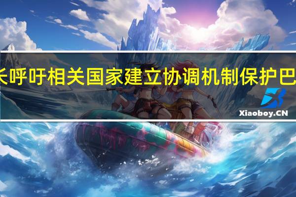 土耳其外长呼吁相关国家建立协调机制保护巴勒斯坦民众安全