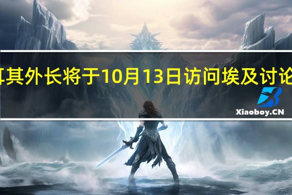 土耳其外长将于10月13日访问埃及 讨论地区问题