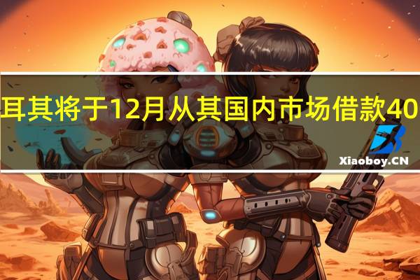 土耳其将于12月从其国内市场借款400亿里拉