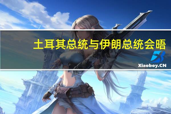 土耳其总统与伊朗总统会晤