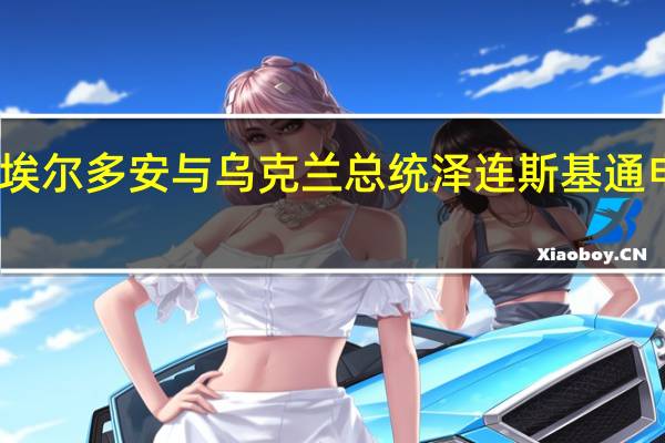 土耳其总统埃尔多安与乌克兰总统泽连斯基通电话 讨论巴以局势